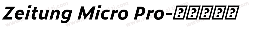 Zeitung Micro Pro字体转换